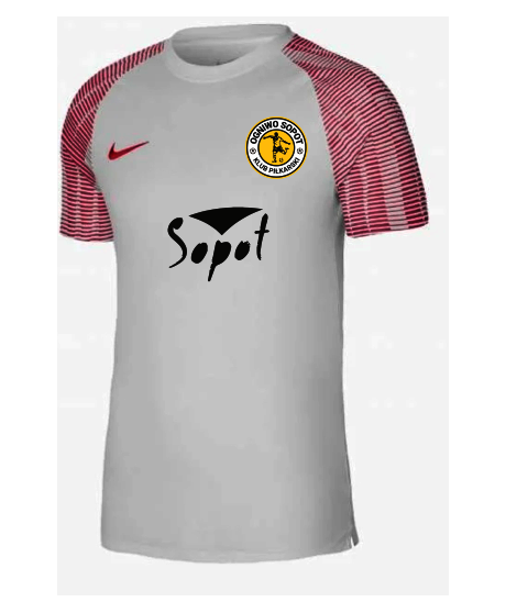 Koszulka Nike Ogniwo Sopot Junior