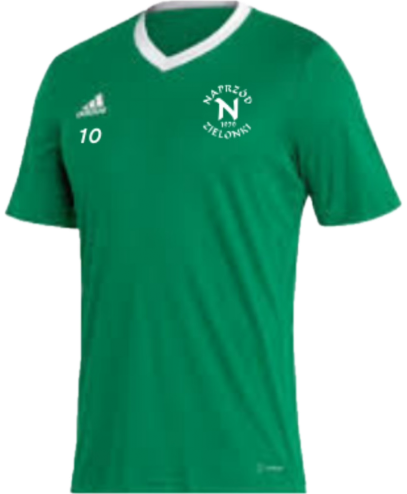 Koszulka Treningowa Adidas Senior Naprzód Zielonki